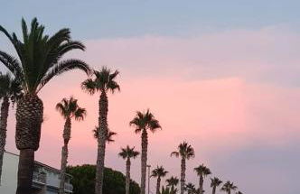 le cytharis - Foto 55