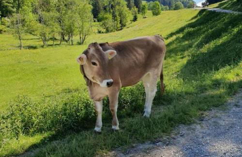Ferienwohnung AllgäuGlück im Ferienpark Oberallgäu mit Hallenbad, Sauna, WLAN - Foto 34
