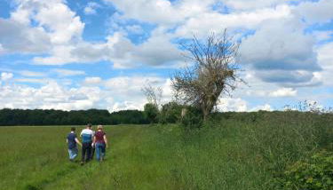 Les hirondelles - Foto 2