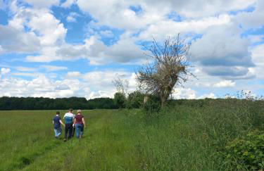 Les hirondelles - Foto 2