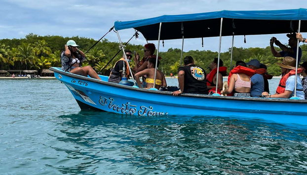 Starfish Beach & Bird Island Day Trip - Foto 4