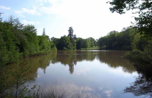 Château Le Brun - Loire Valley and vineyards - Foto 40