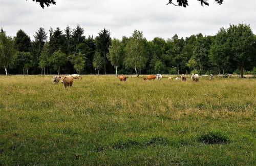 Schäfchenwolke Apartment auf dem Bauernhof - Foto 17