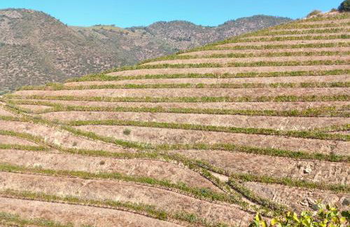 Wine House - Quinta Vale de Carvalho - Foto 47