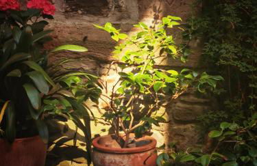 charmantes Apartment Siebenschläfer - Ferienwohnung Café 7 - Foto 28