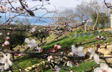 Casale Santomanno - Foto 32