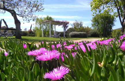 "IL CASALE DEI GIRASOLI" Country House in Capalbio - Foto 21