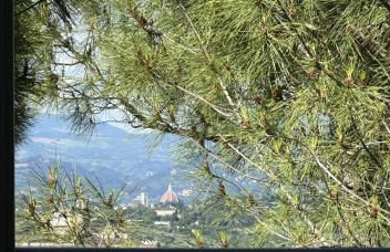 Podere di Montecchio - Le Andane - Foto 57