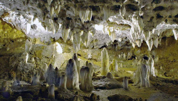 Visita guiada por la Cueva El Soplao - Foto 4