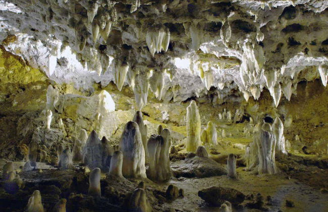 Visita guiada por la Cueva El Soplao - Foto 4
