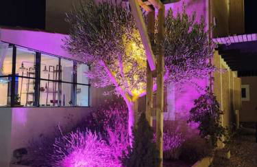 L'Apt Tropez - Photo 13