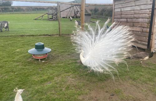 Luxury countryside retreat with hot tub - Foto 18