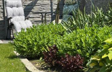 Apartament przy Lesie - Domki u Piotrusia - Foto 13