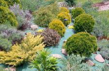 Domki pod lasem Gorce z kominkiem i jacuzzi - Photo 33