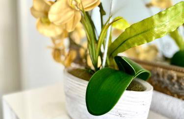 Apartments Vukancic - Foto 21