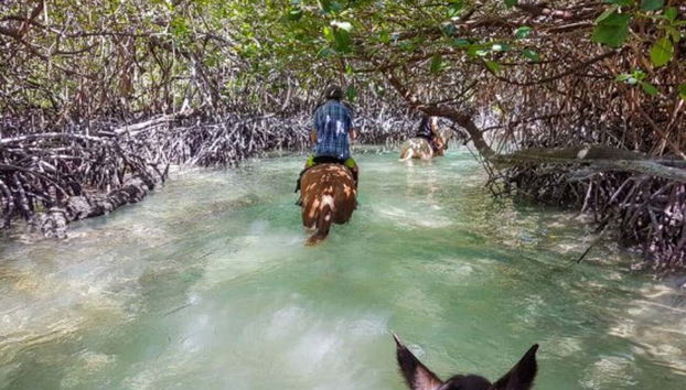 Passeggiata a cavallo a Holbox - Foto 5