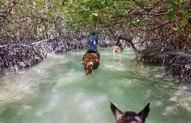 Passeggiata a cavallo a Holbox - Foto 5