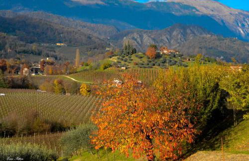 La Casetta - Photo 17