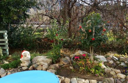 El Retiro de Isabel - Foto 42