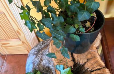 Luna de Gredos - Dormitorios con baño en suite - Foto 72