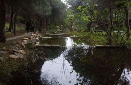 Praia Verde Residence - Foto 30