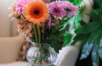 Arden Stay Apartments - Photo 6