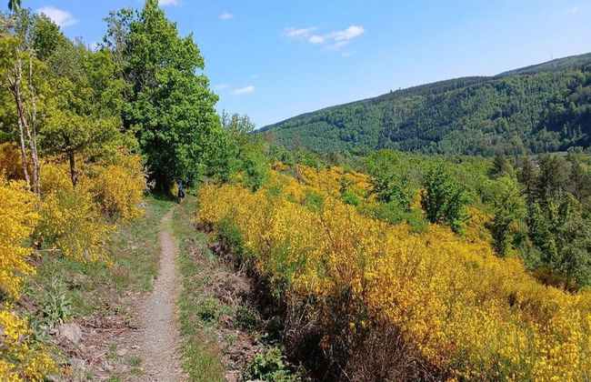 Lodge in Ardennes Near La Roche Center - Photo 26