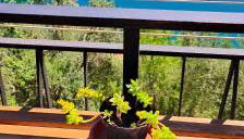 Casa panorama vista lago Turano - Foto 5