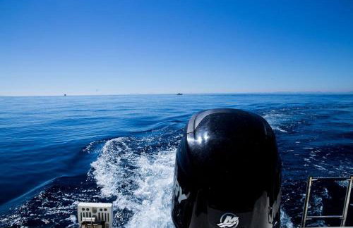 Appartements Antunovic - Foto 44