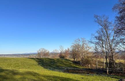 Ferienwohnung mit sonniger Dachterrasse am Pferdehof - Foto 32