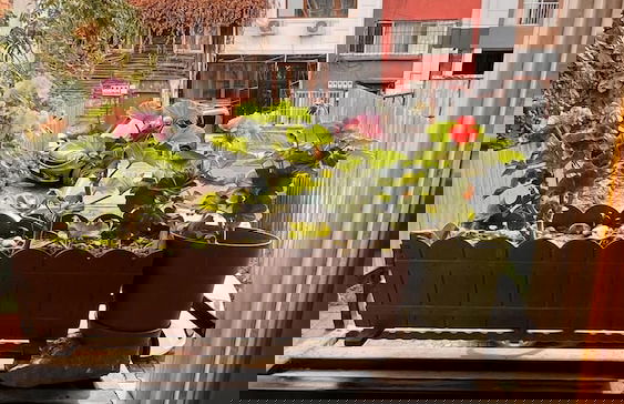 April Story Apart Hotel - Foto 61