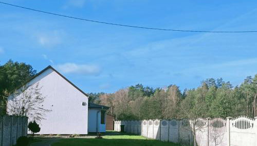 Leśny Domek - Foto 5, Garden, Garden view