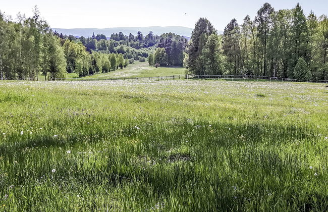 2 bedroom House in Lubomierz with private pool and garden - Photo 30