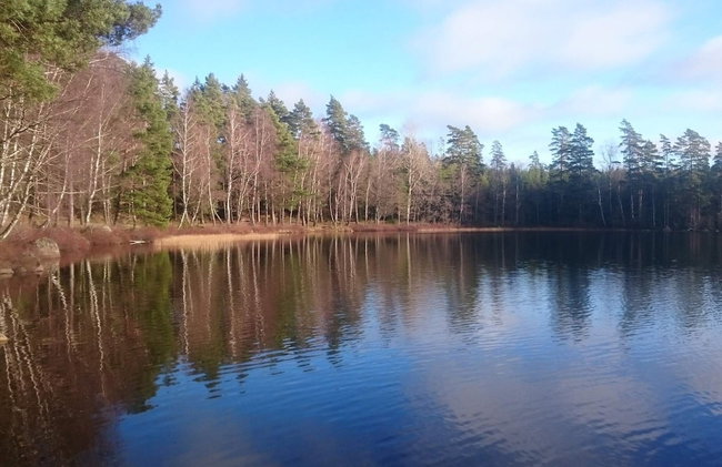 4 Person Holiday Home in Holmsjo - Foto 27