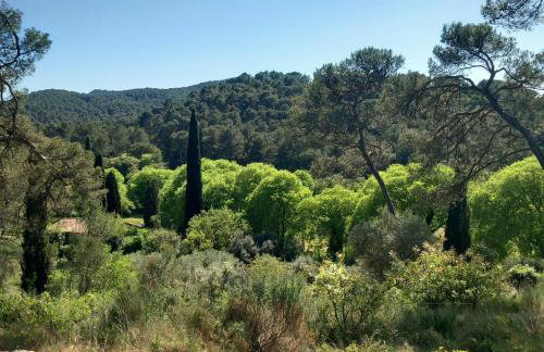 La maison des Alpilles Provence piscine partagée - Photo 42