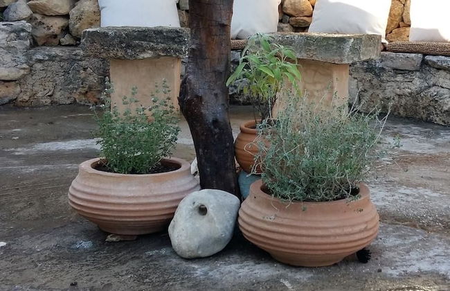 Bendeni Cottage - Foto 16