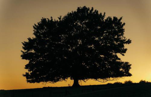 Hyll Hotel - Photo 20