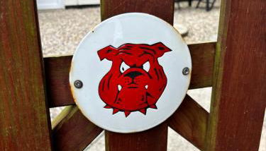 Altes Zollhaus - Foto 5, Garden