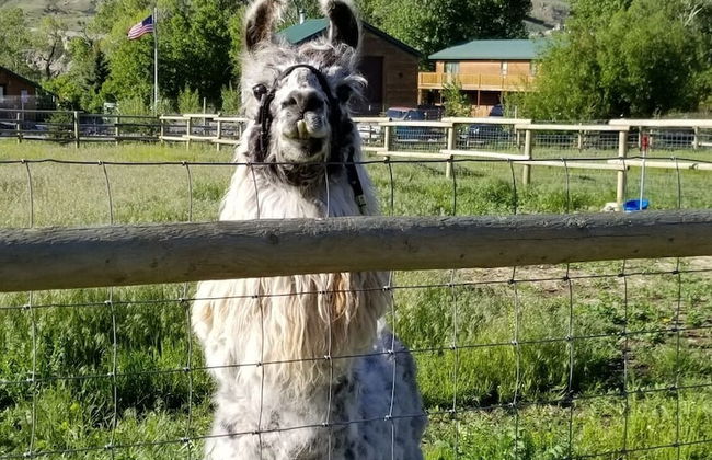 Eycat Lodging Company - Foto 4