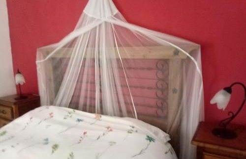 Vista Terraza Illora - Foto 4