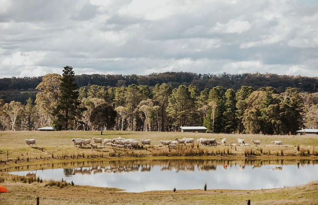 Aruna Estate - Foto 39