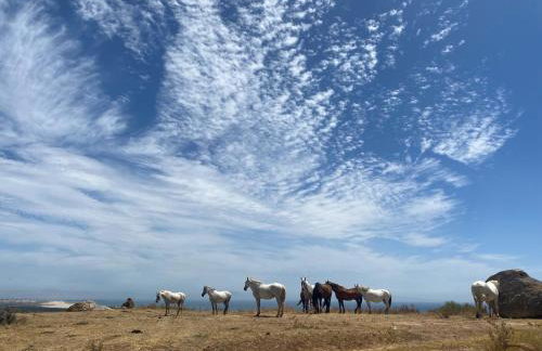 Tarifa Cabin with Panoramic Sea Views - Foto 24