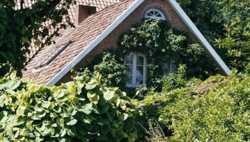 Apartment in ehemaliger Dorfschule am Dorfrand by Interhome - Foto 4