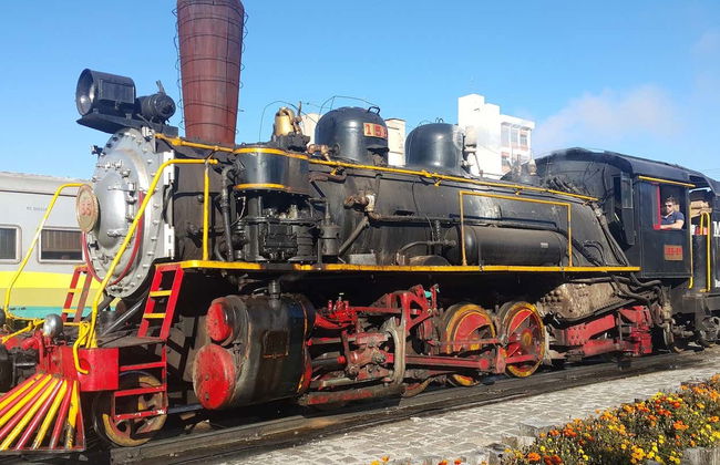 Tren Maria Fumaça + Visita a una bodega de Bento Gonçalves - Foto 4