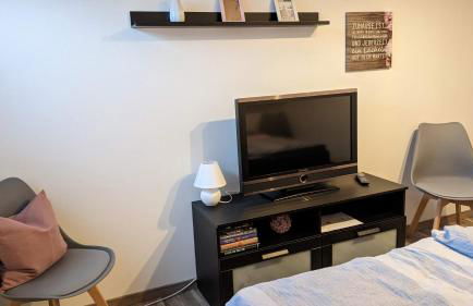 Ostfriesland für Familie und Haustier - Foto 9