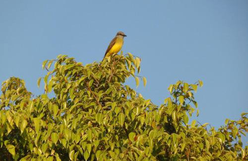 Rancho do Colega - Foto 30
