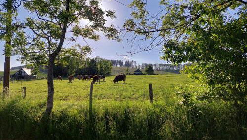 Ferienwohnungen Schneider - Foto 4