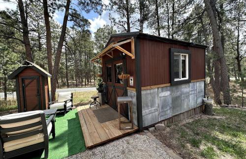 Quaint Rustic Cabin Surrounded by Nature in Black Forest, Colorado - Foto 8