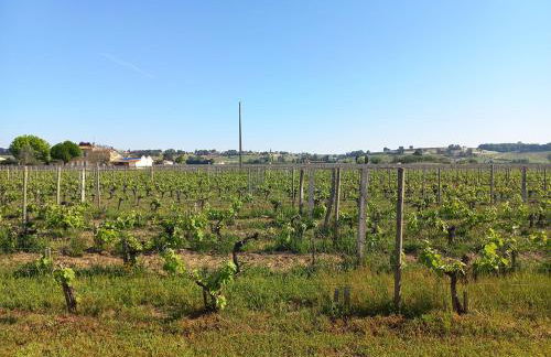 La Girondine de Ferrand Lartigue - Foto 7