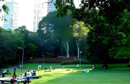 In Jardim Sul Street - Foto 61